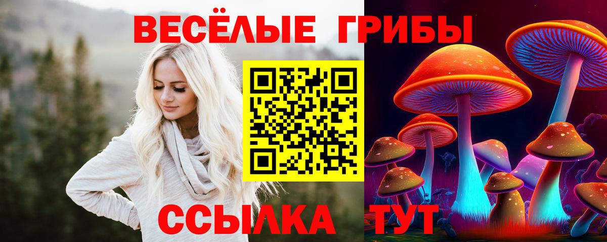 Псилоцибиновые грибы MAGIC MUSHROOMS  Вход с VPN  Десногорск 